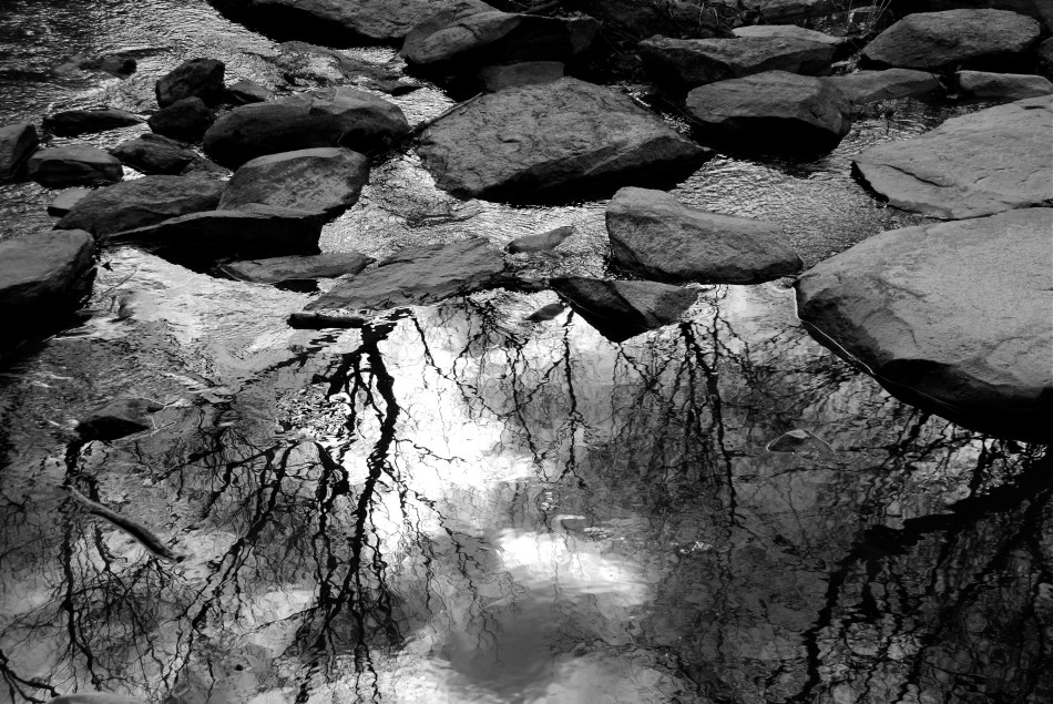 autumn in randolph county