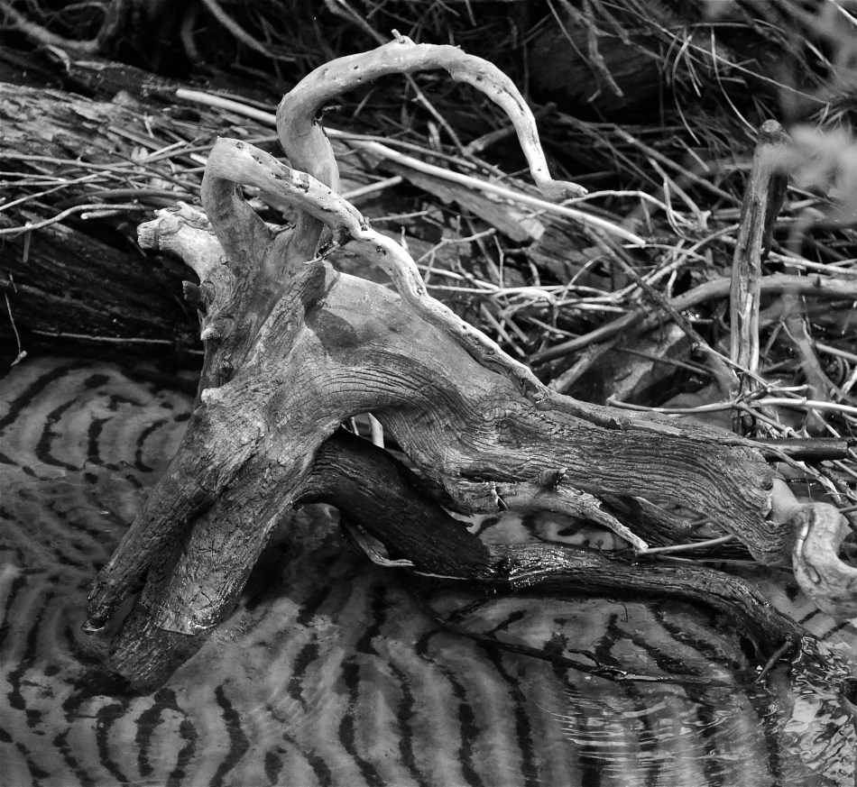 a river pattern of sand and wood
